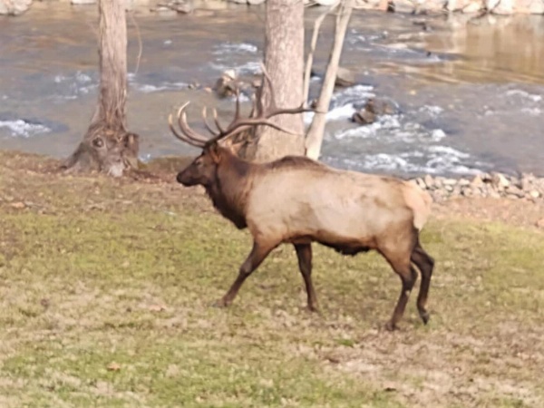 Quality Inn Cherokee image 23